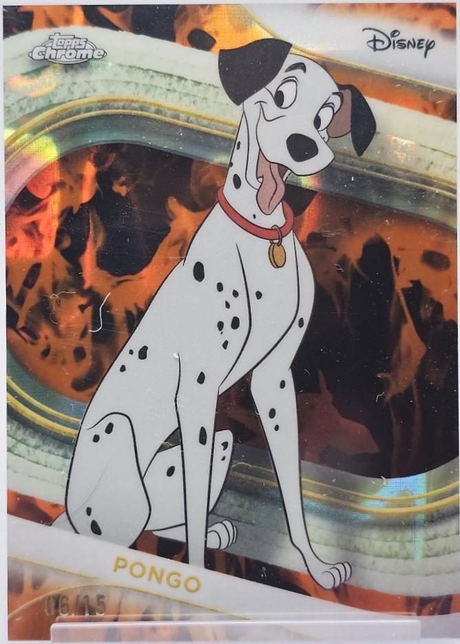Pongo