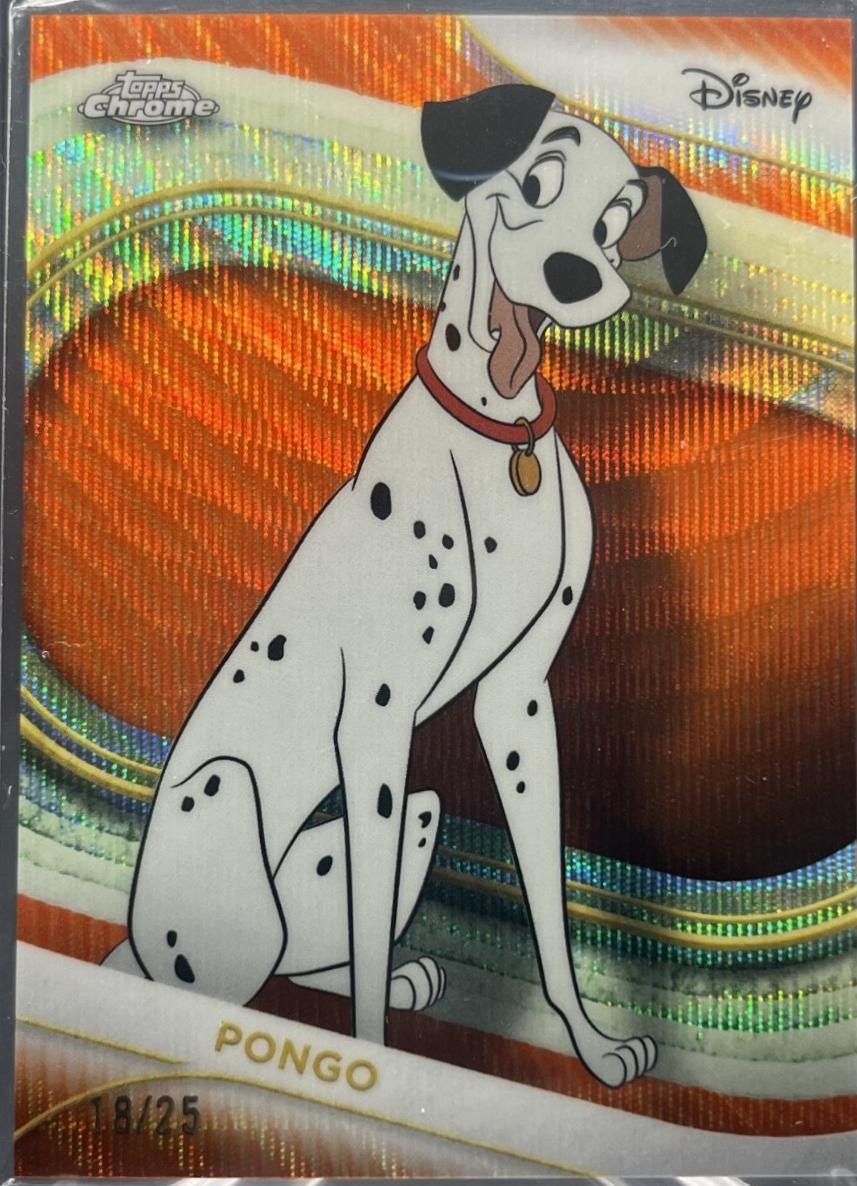 Pongo