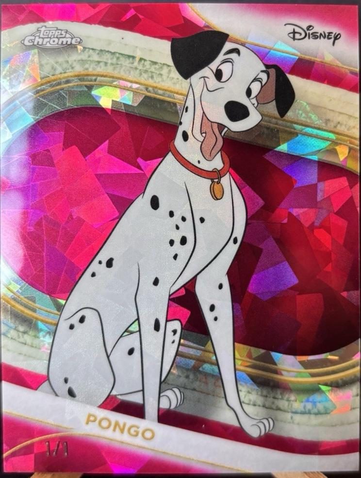 Pongo