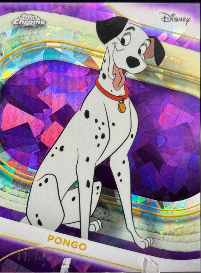 Pongo