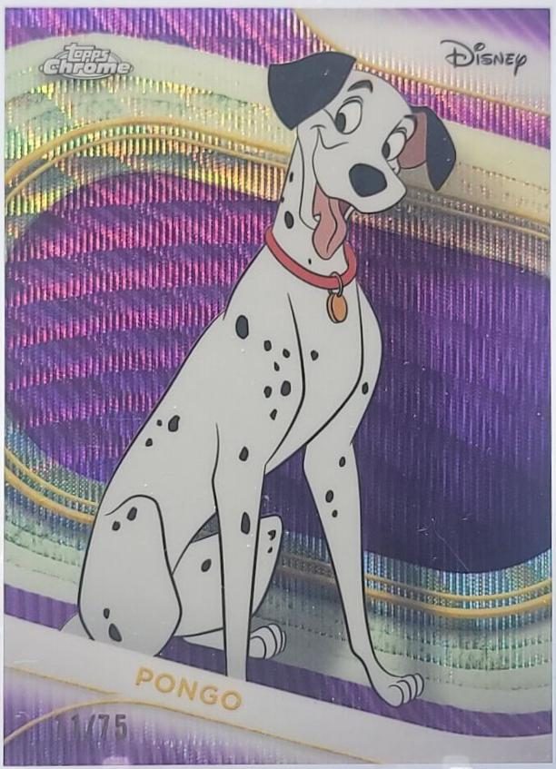 Pongo