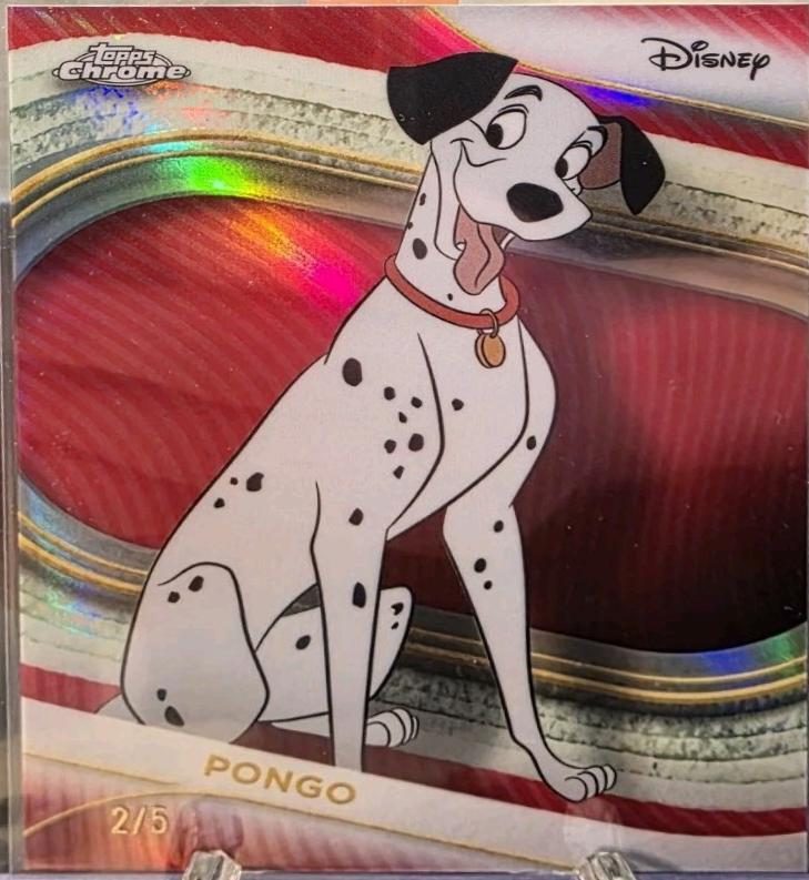 Pongo