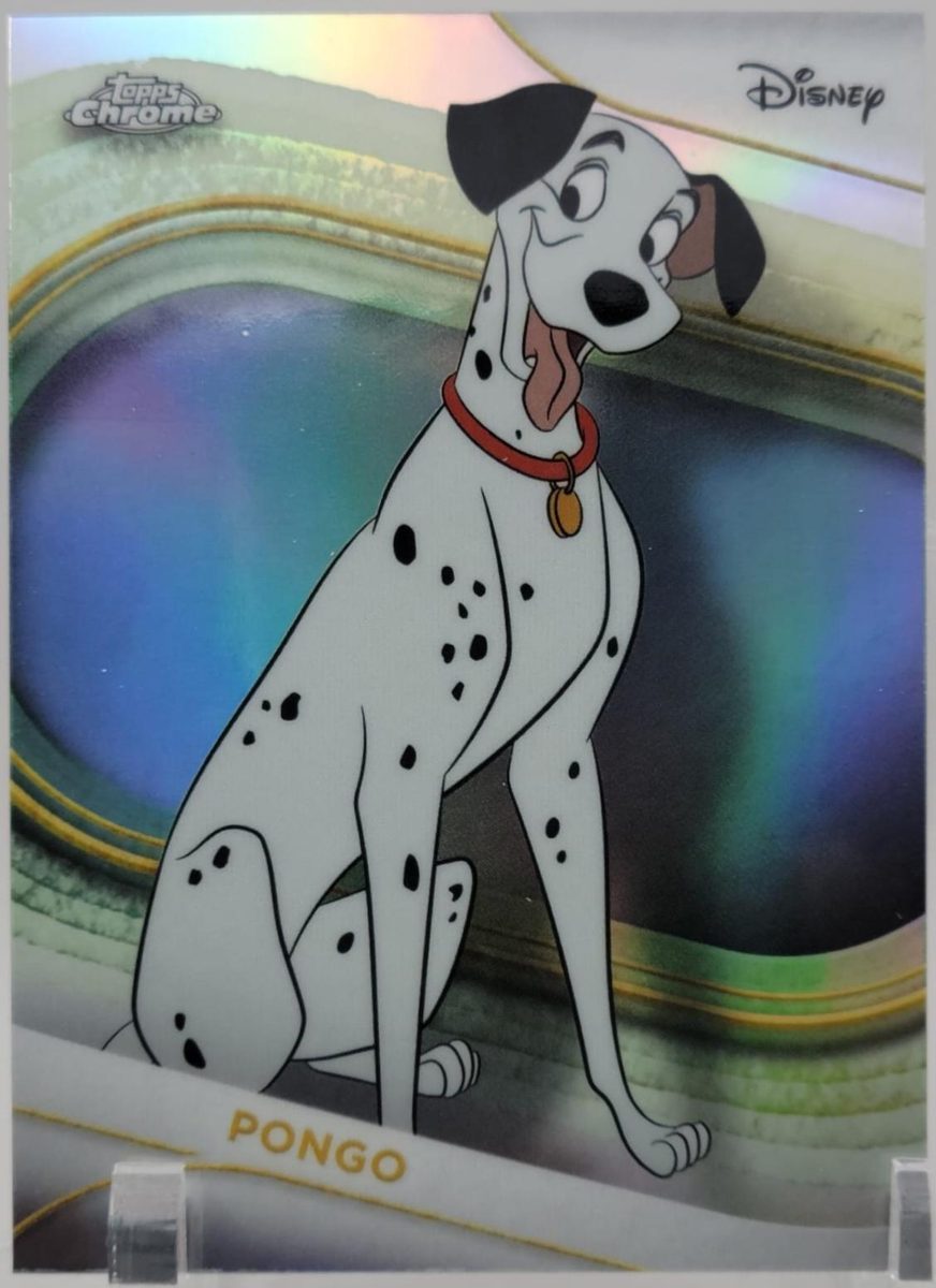 Pongo