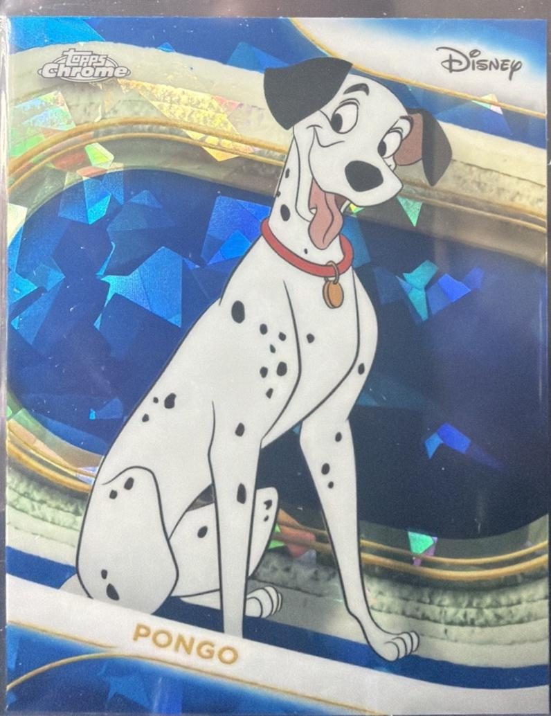 Pongo