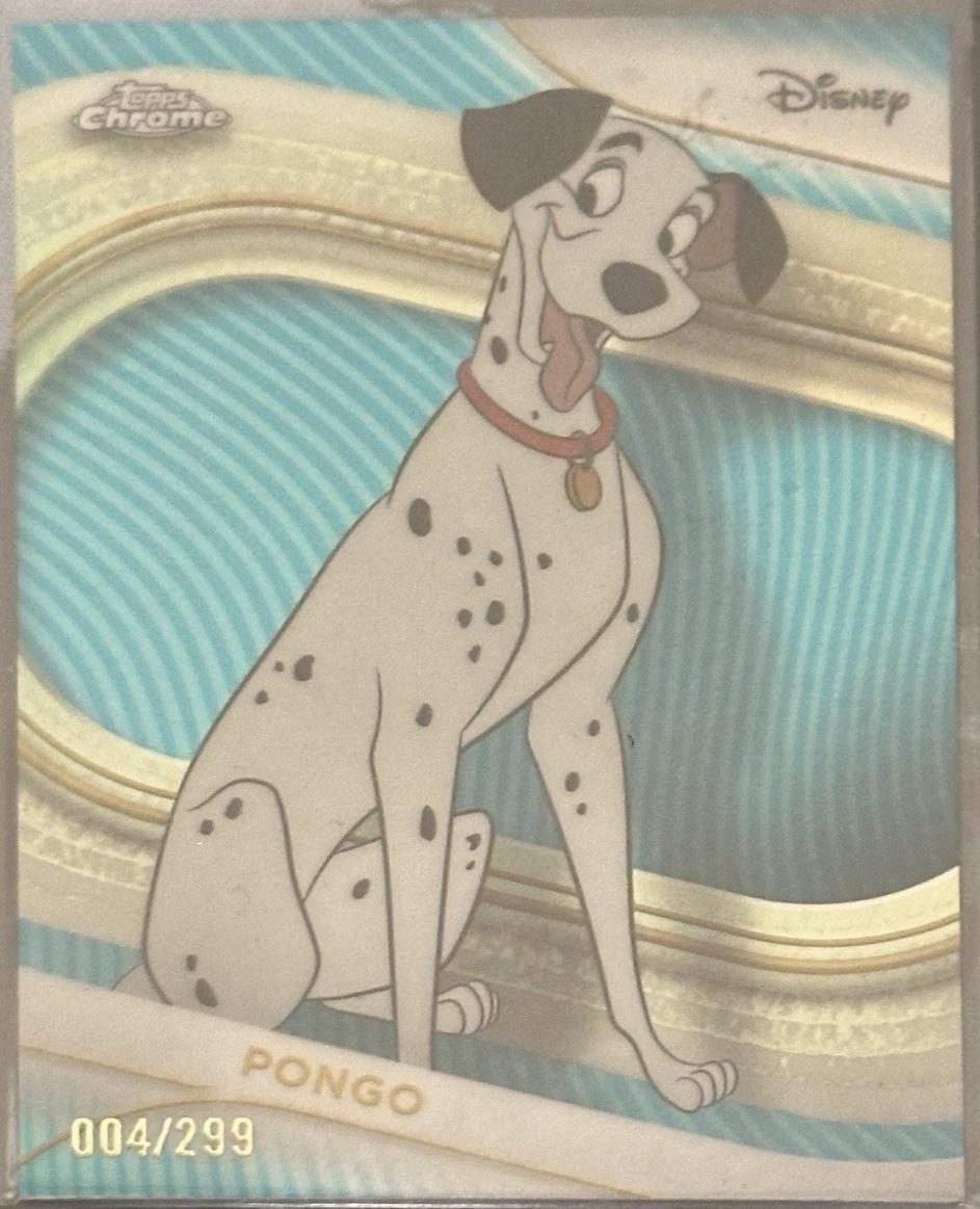 Pongo
