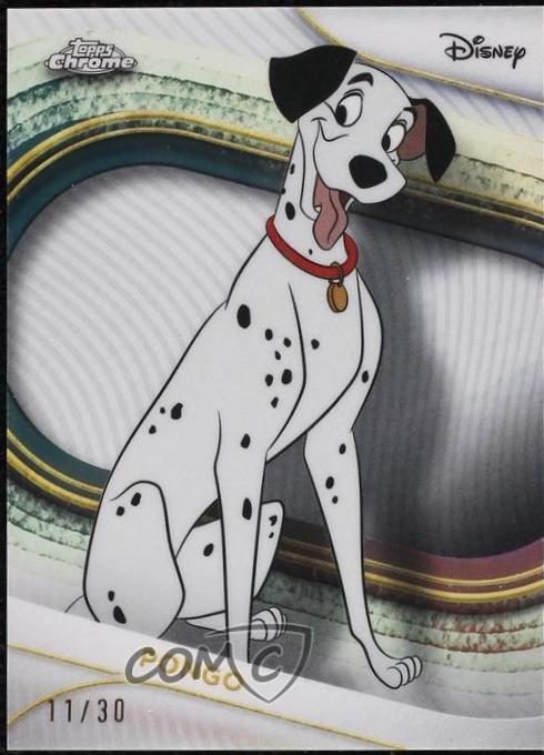 Pongo