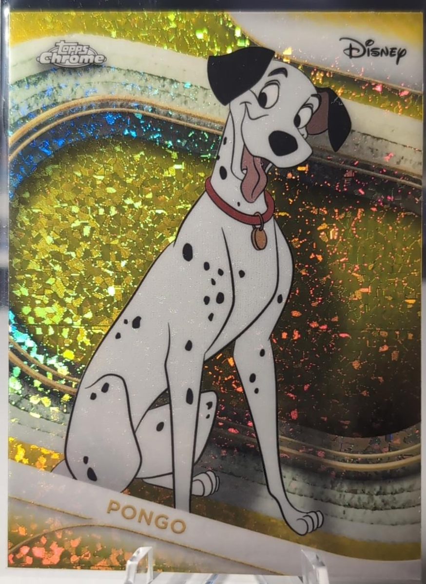 Pongo