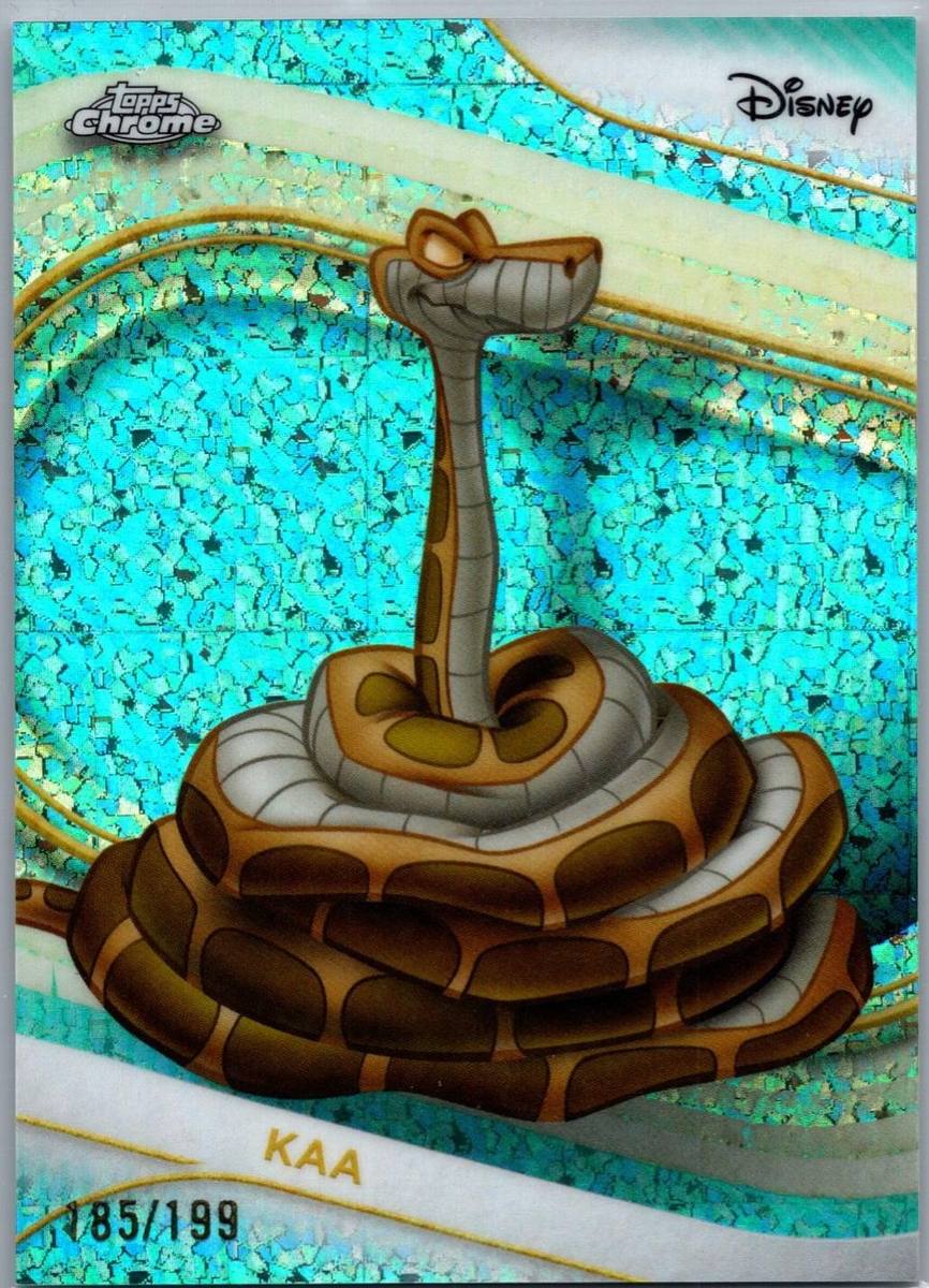 Kaa
