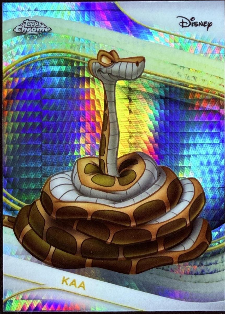 Kaa