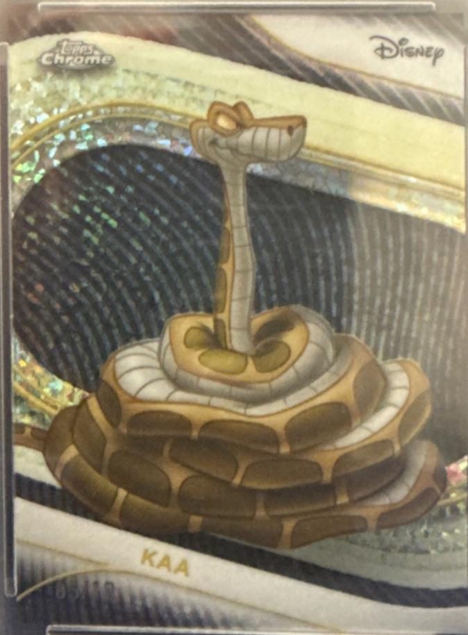 Kaa