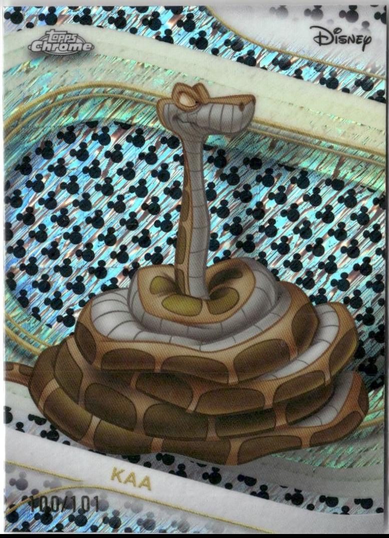 Kaa