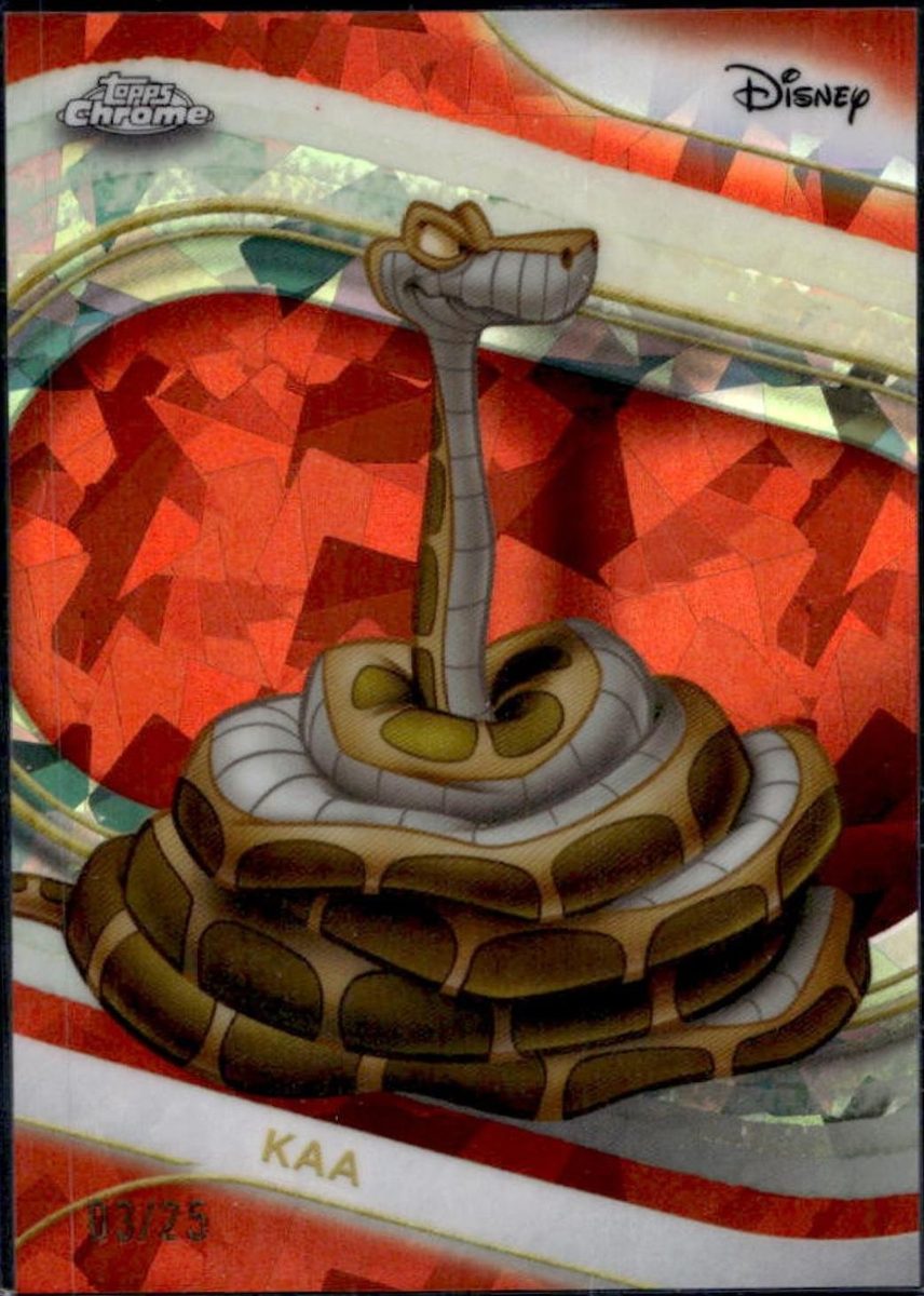 Kaa