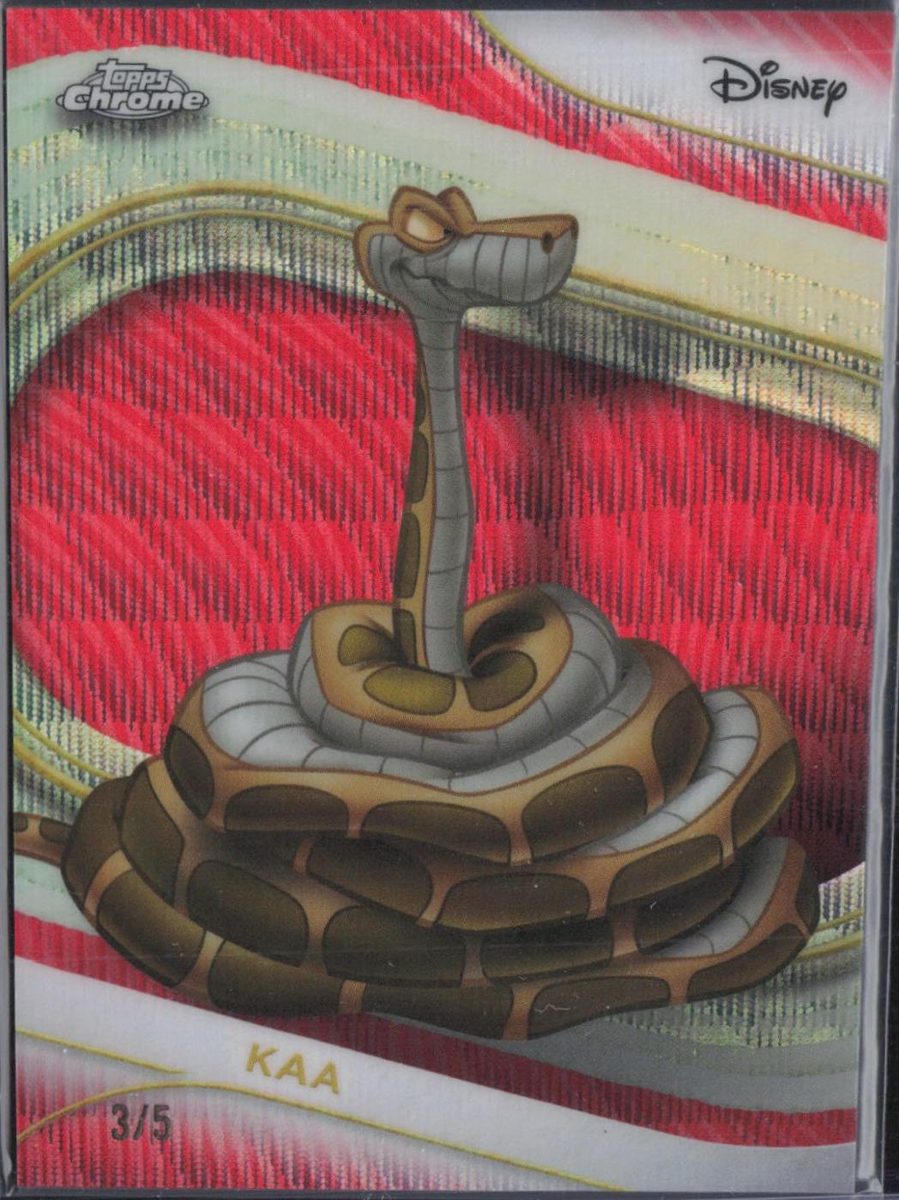 Kaa