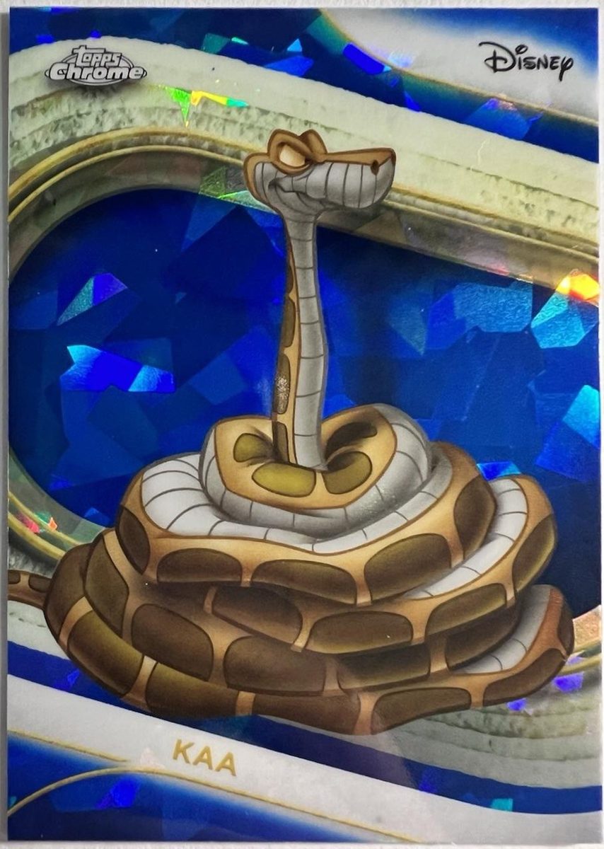 Kaa