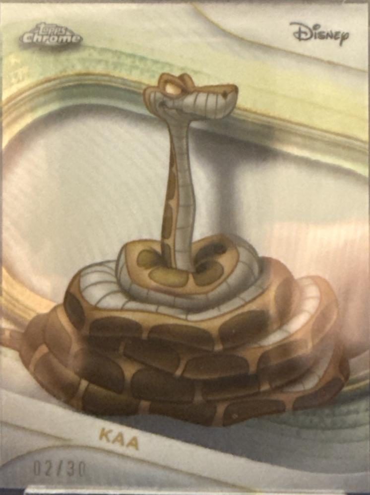 Kaa