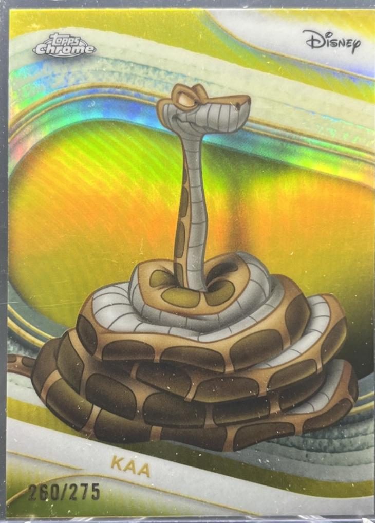 Kaa