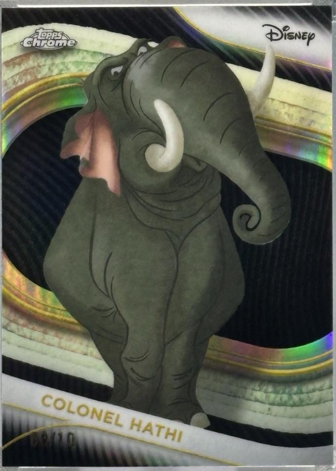 Colonel Hathi