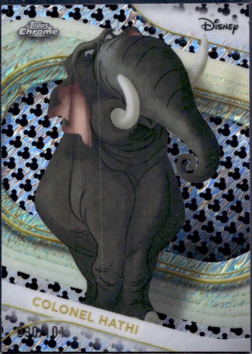 Colonel Hathi