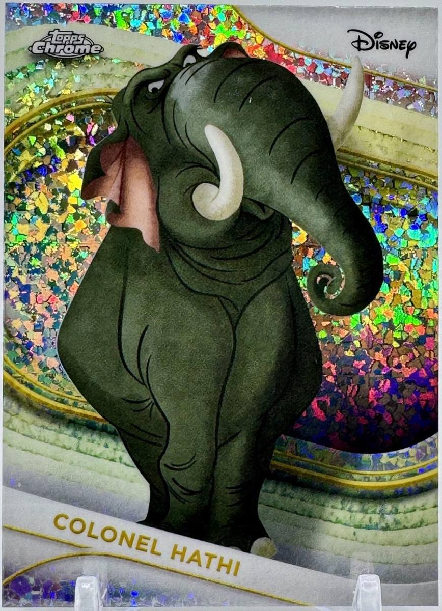 Colonel Hathi