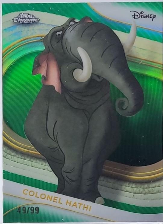 Colonel Hathi