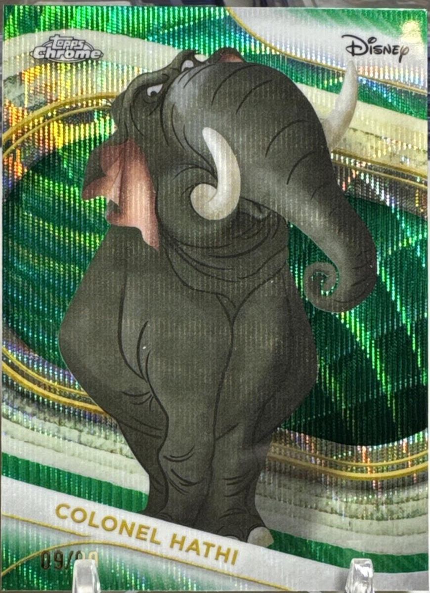 Colonel Hathi