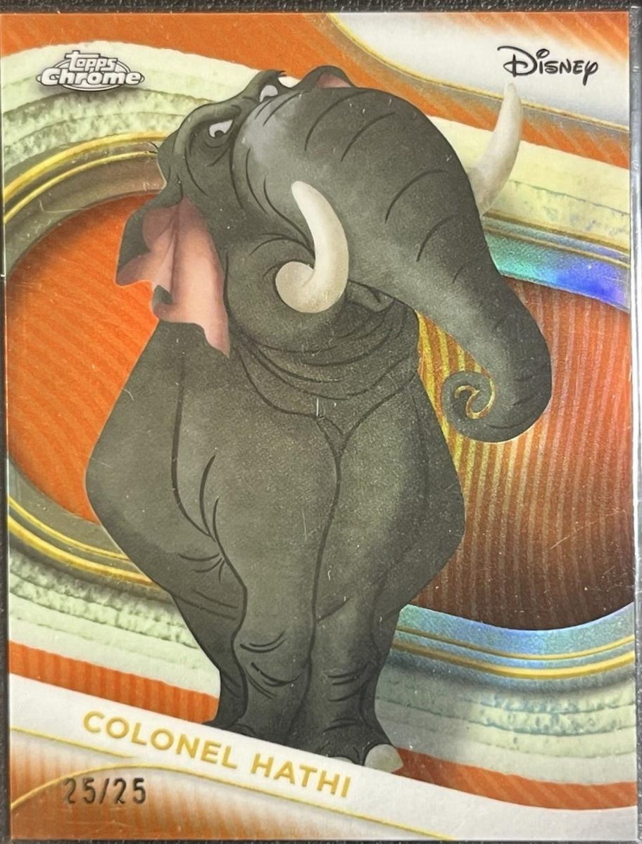 Colonel Hathi