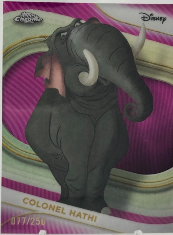 Colonel Hathi
