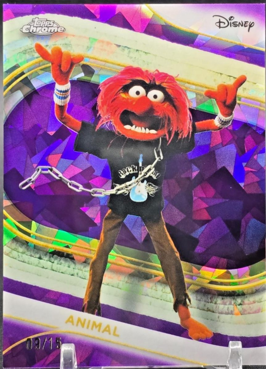 Animal