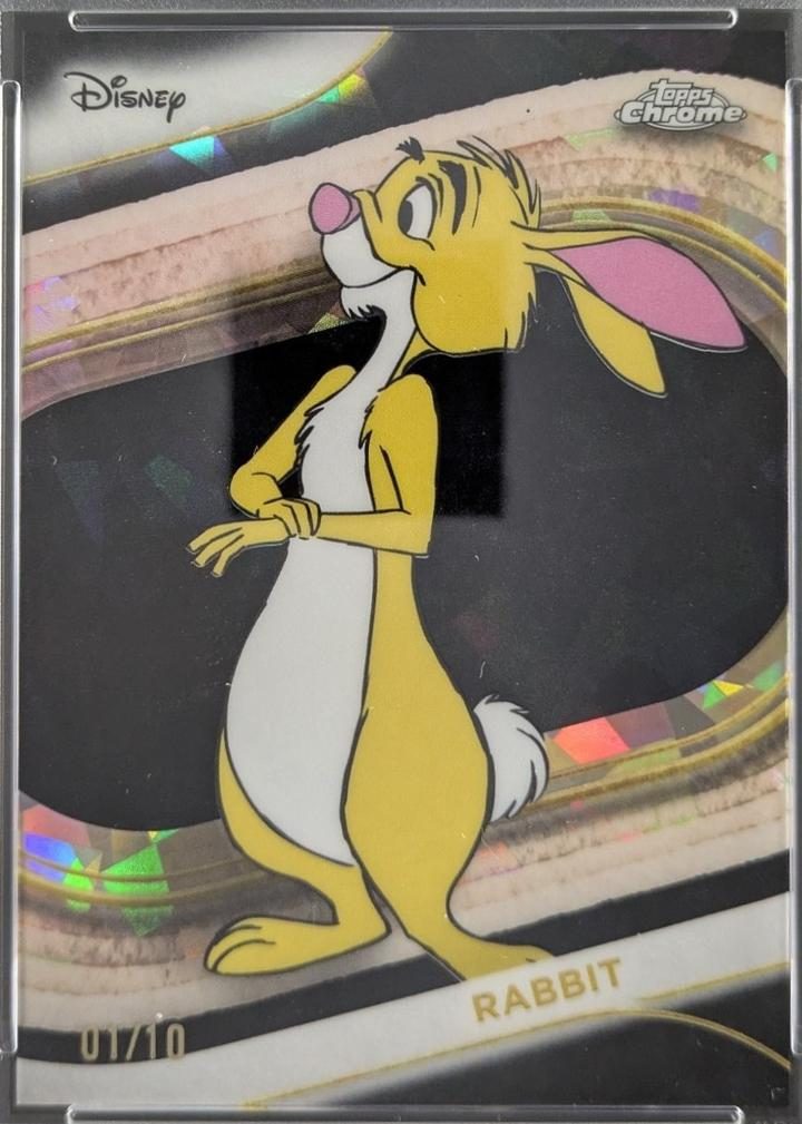 Rabbit