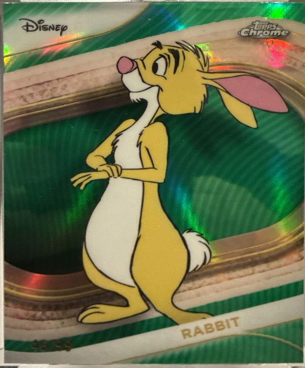 Rabbit
