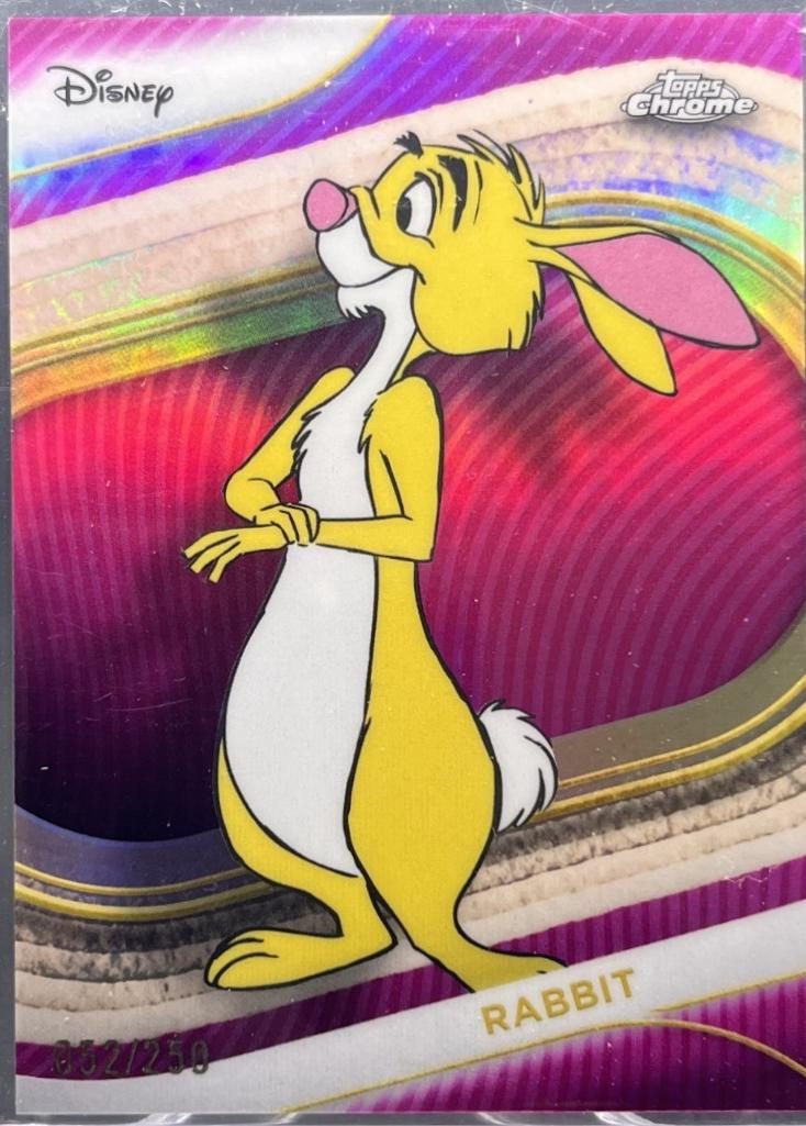 Rabbit