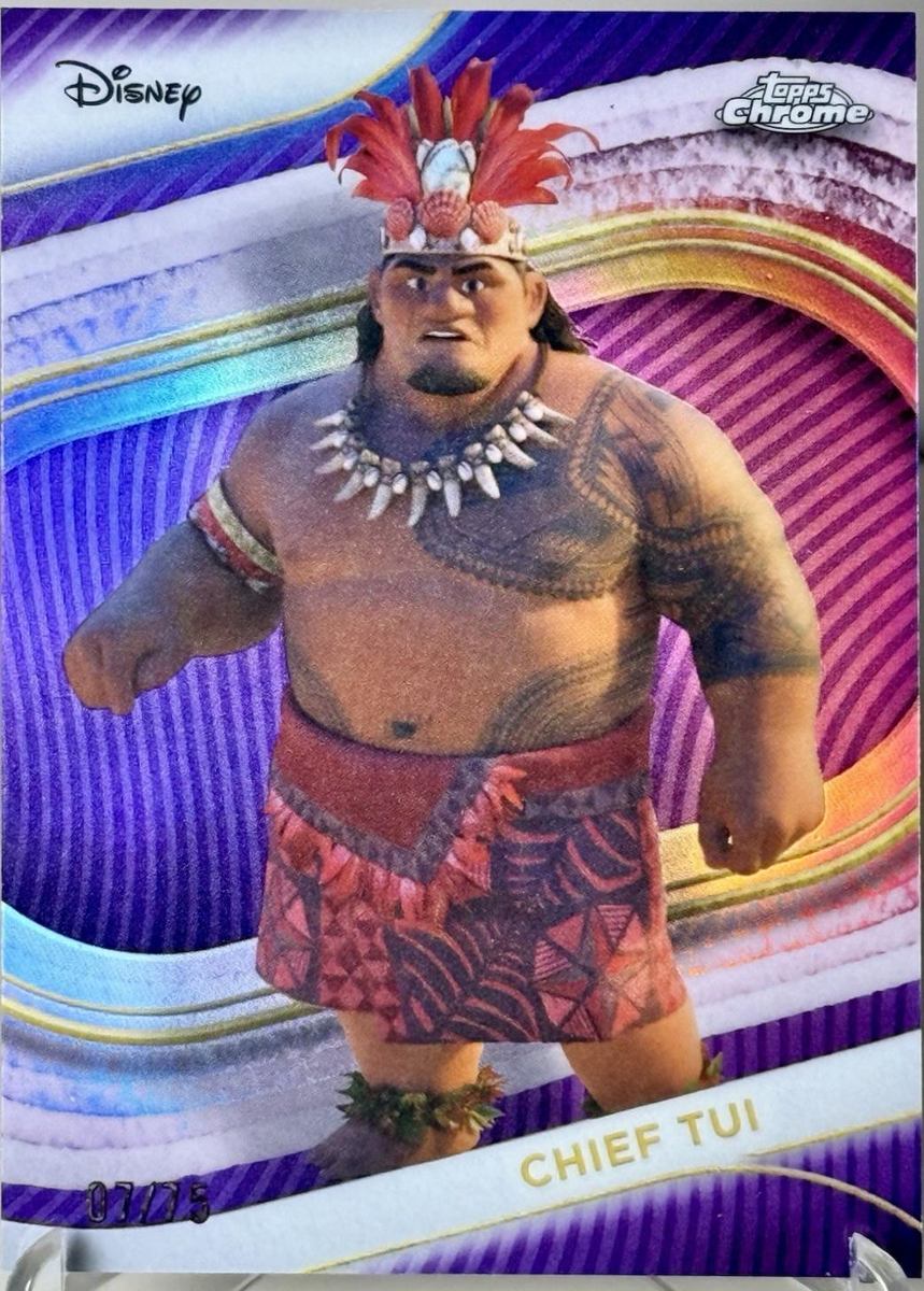 Chief Tui