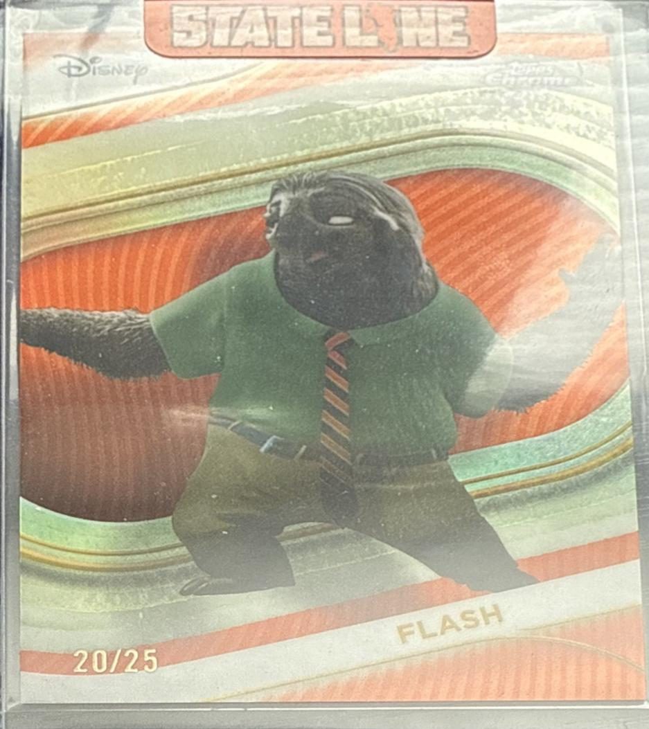 Flash