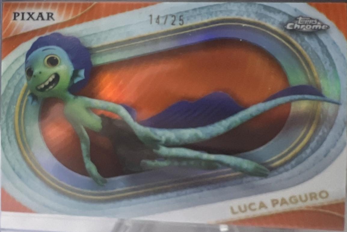 Luca Paguro