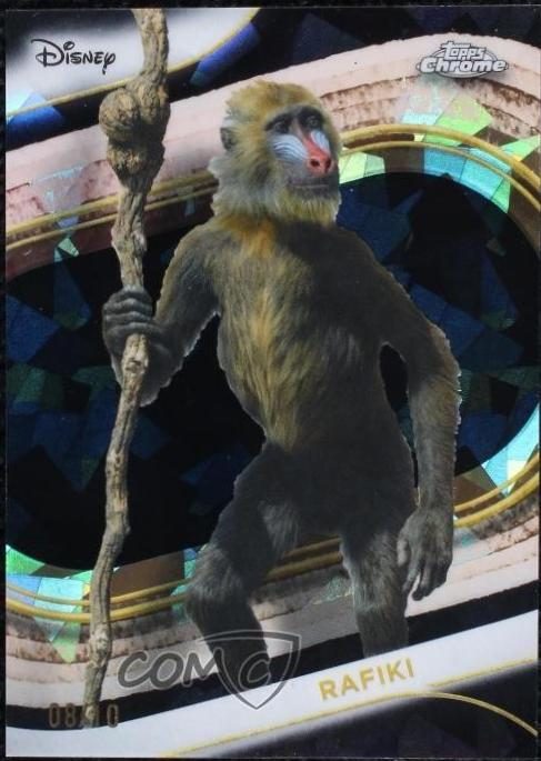 Rafiki