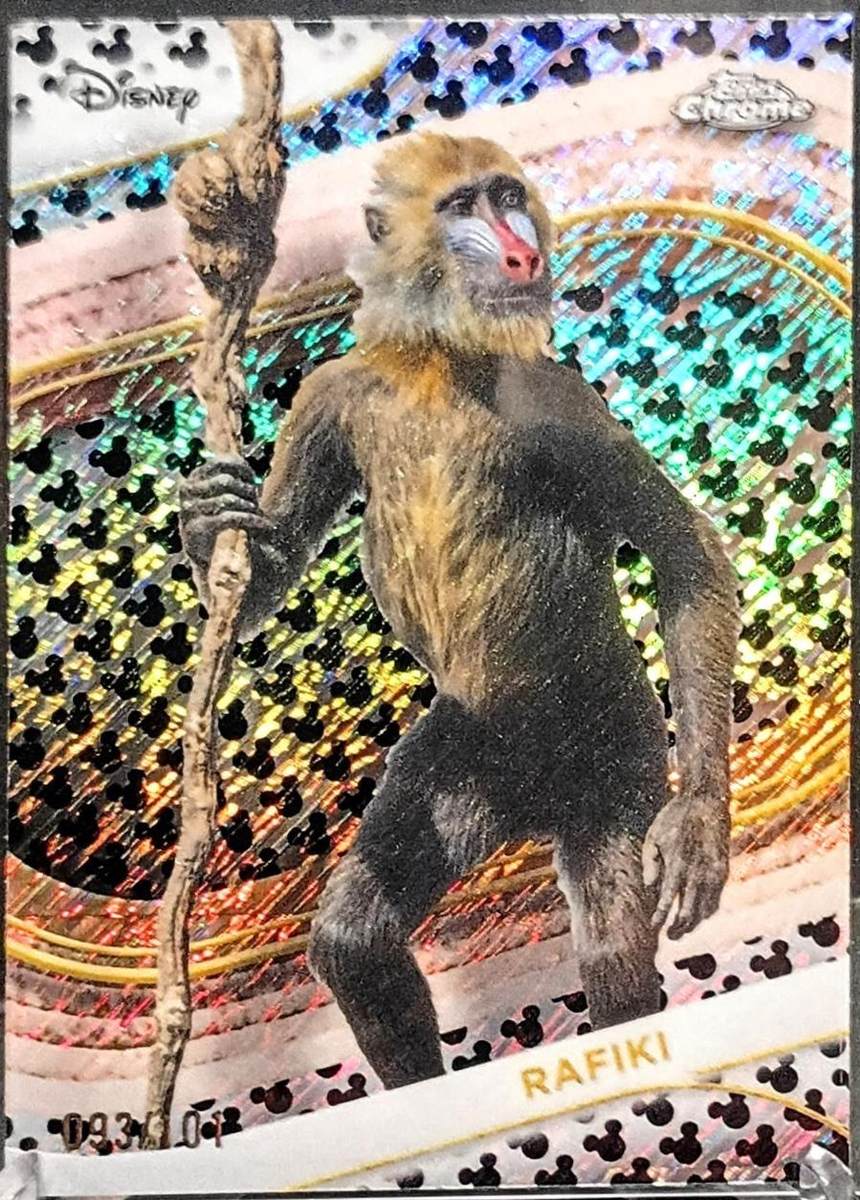 Rafiki