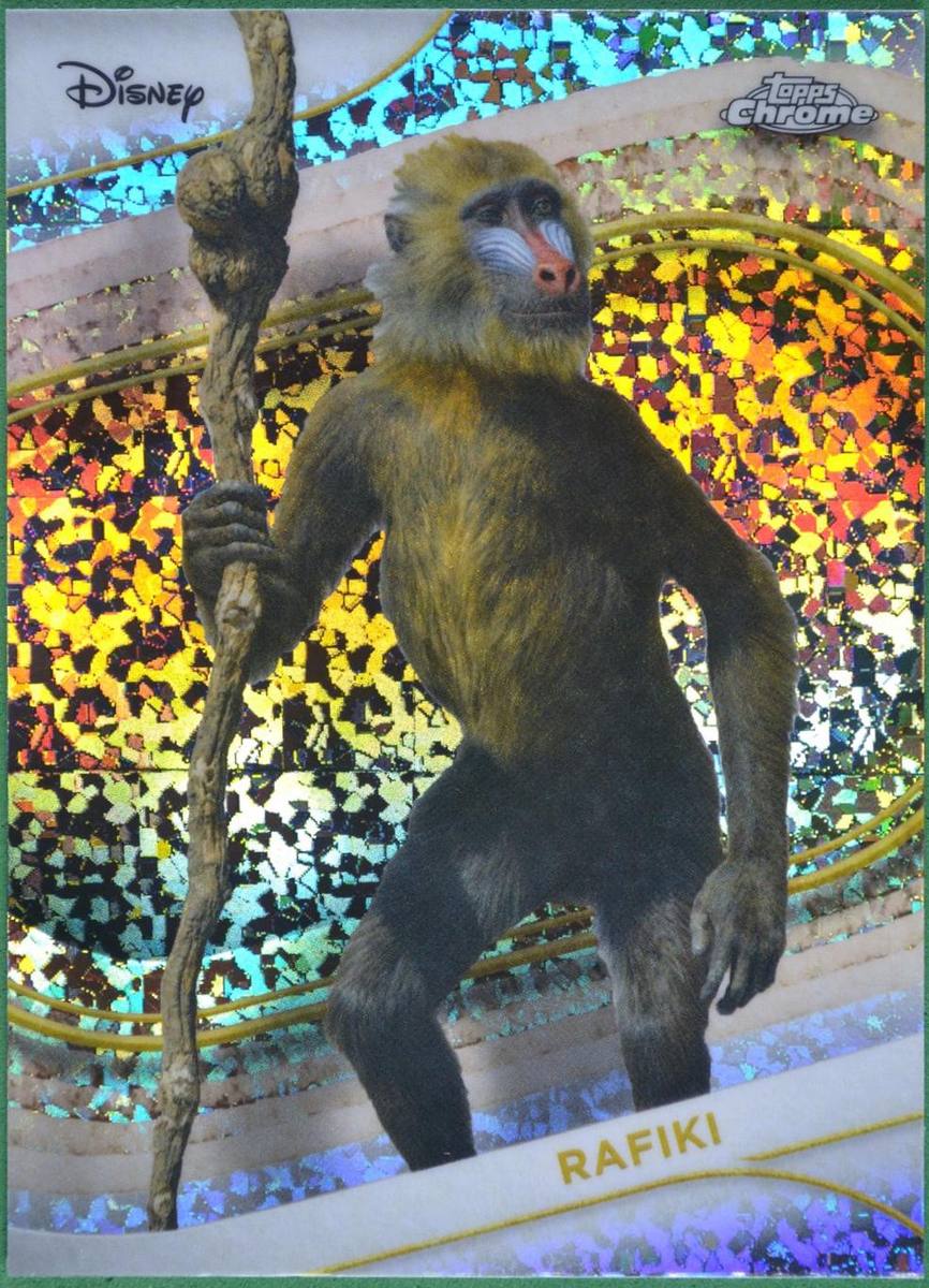 Rafiki