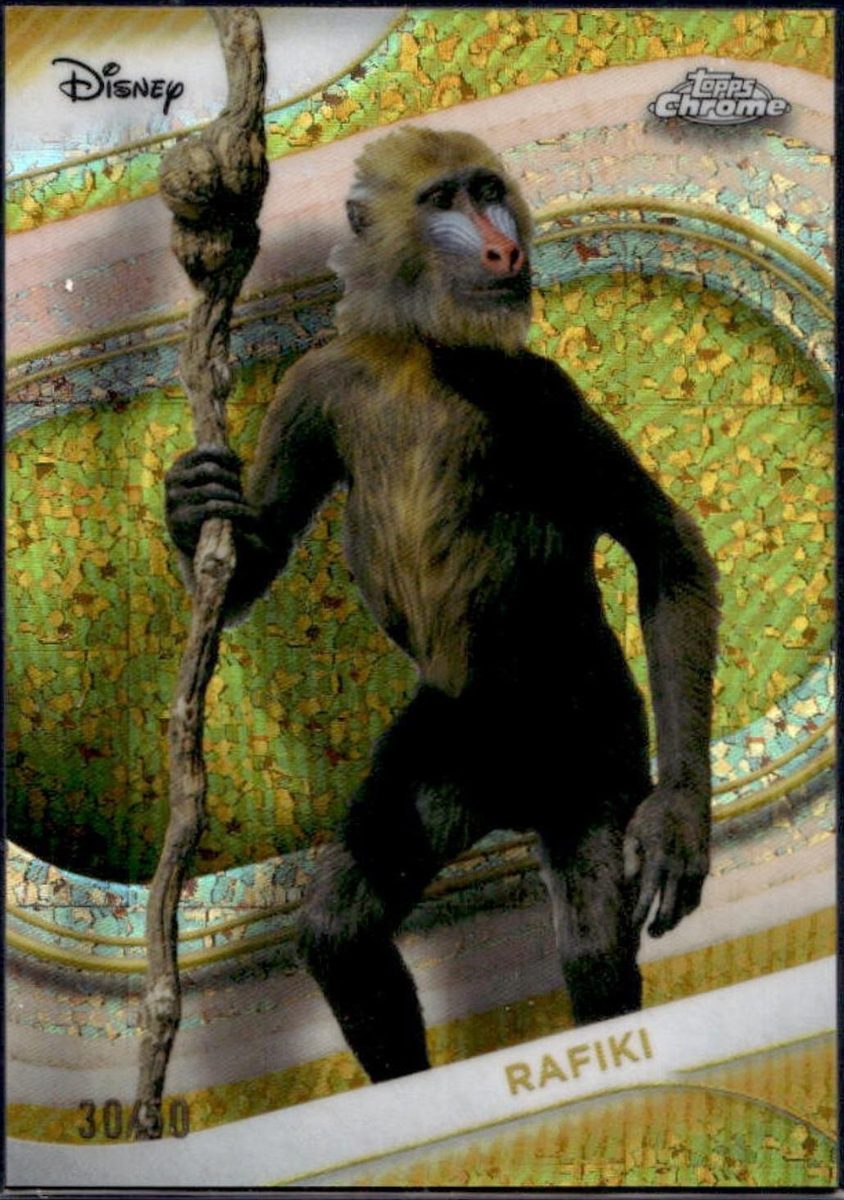 Rafiki