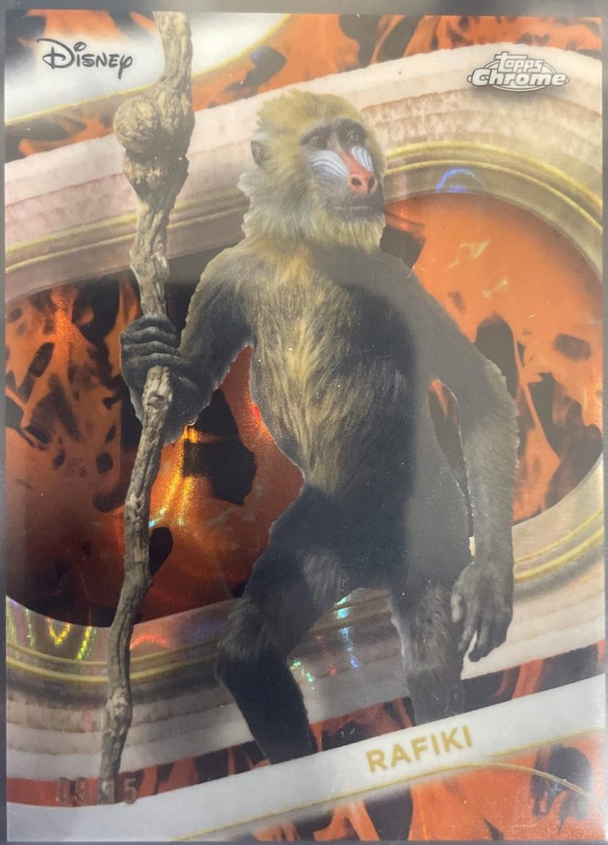 Rafiki