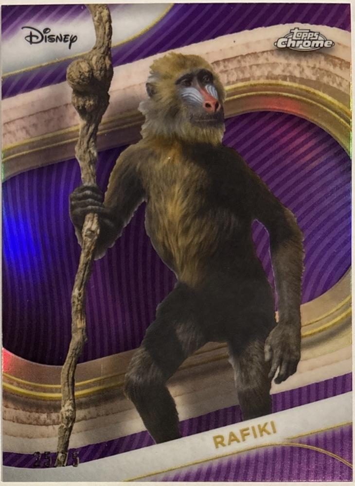 Rafiki