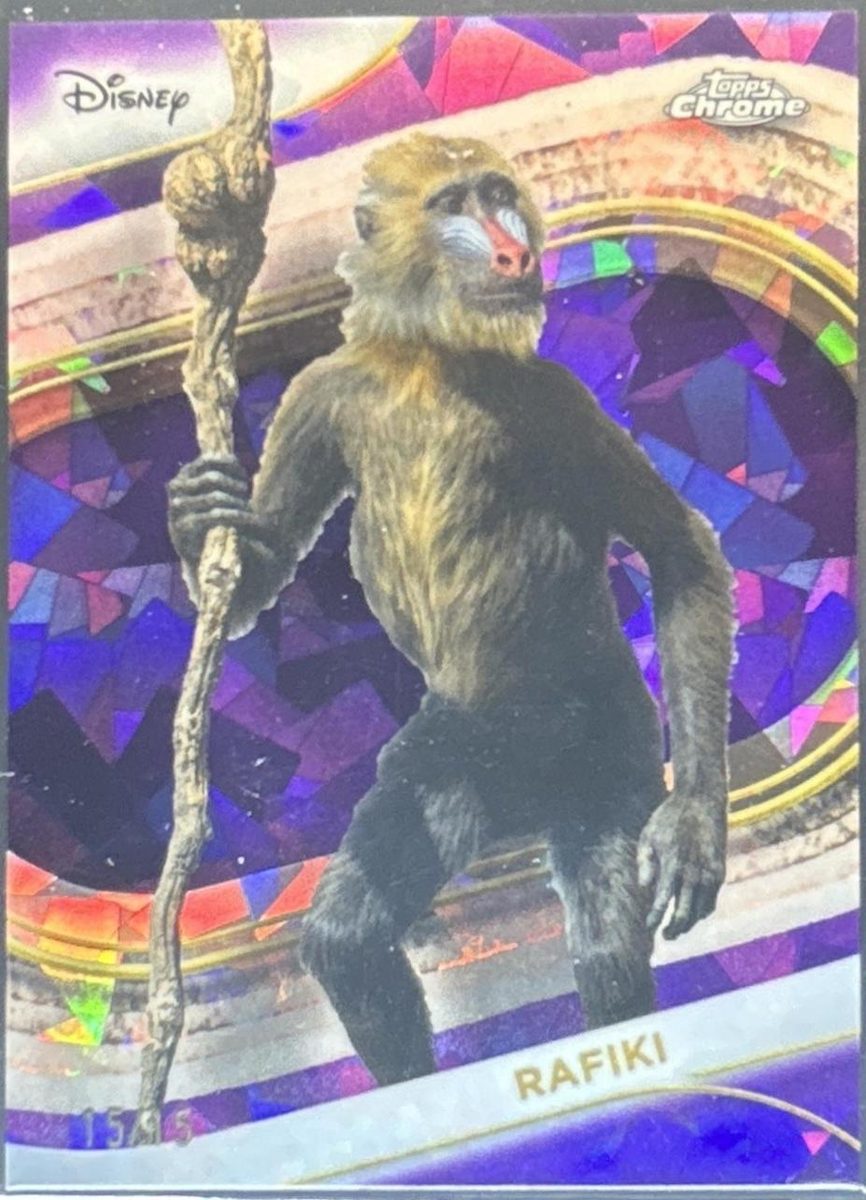 Rafiki