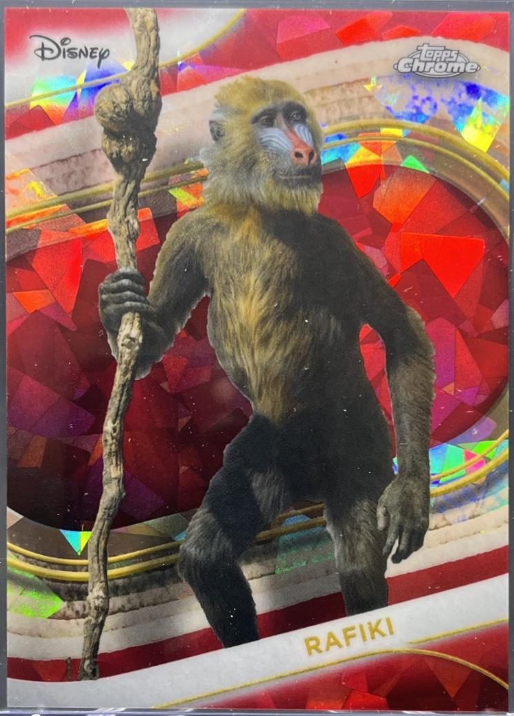 Rafiki