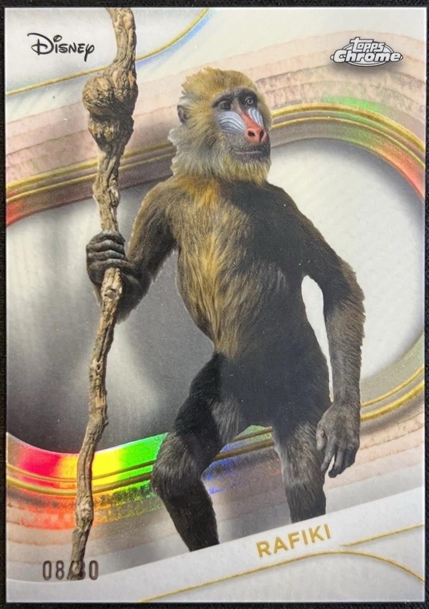 Rafiki