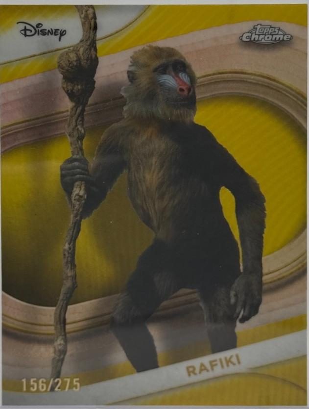 Rafiki