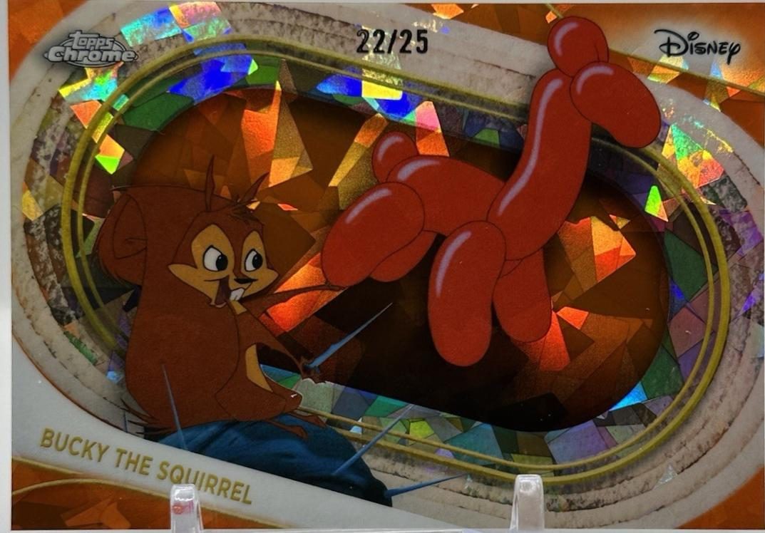 Bucky the Squirrel