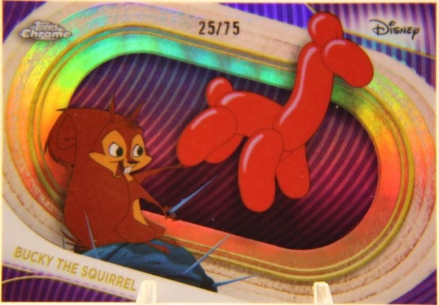 Bucky the Squirrel
