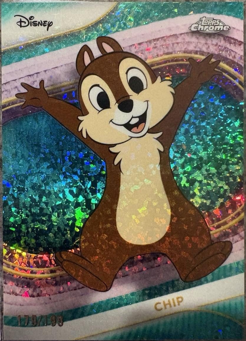 Chip