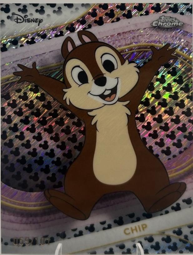 Chip