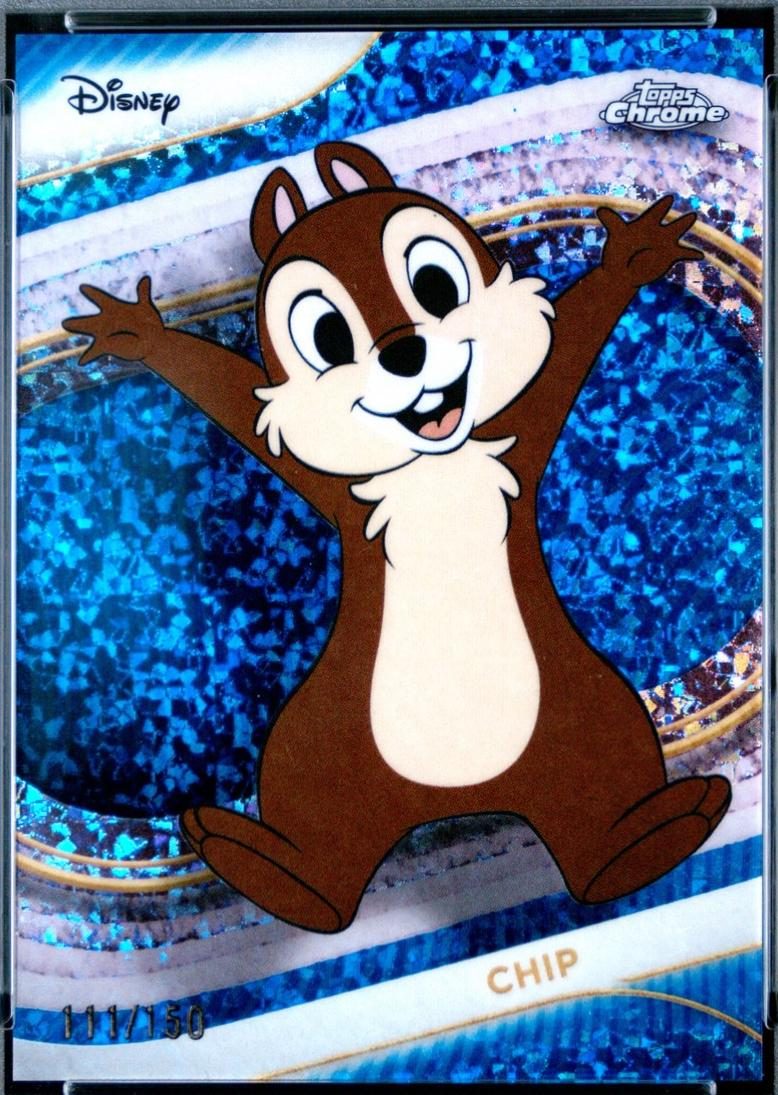 Chip