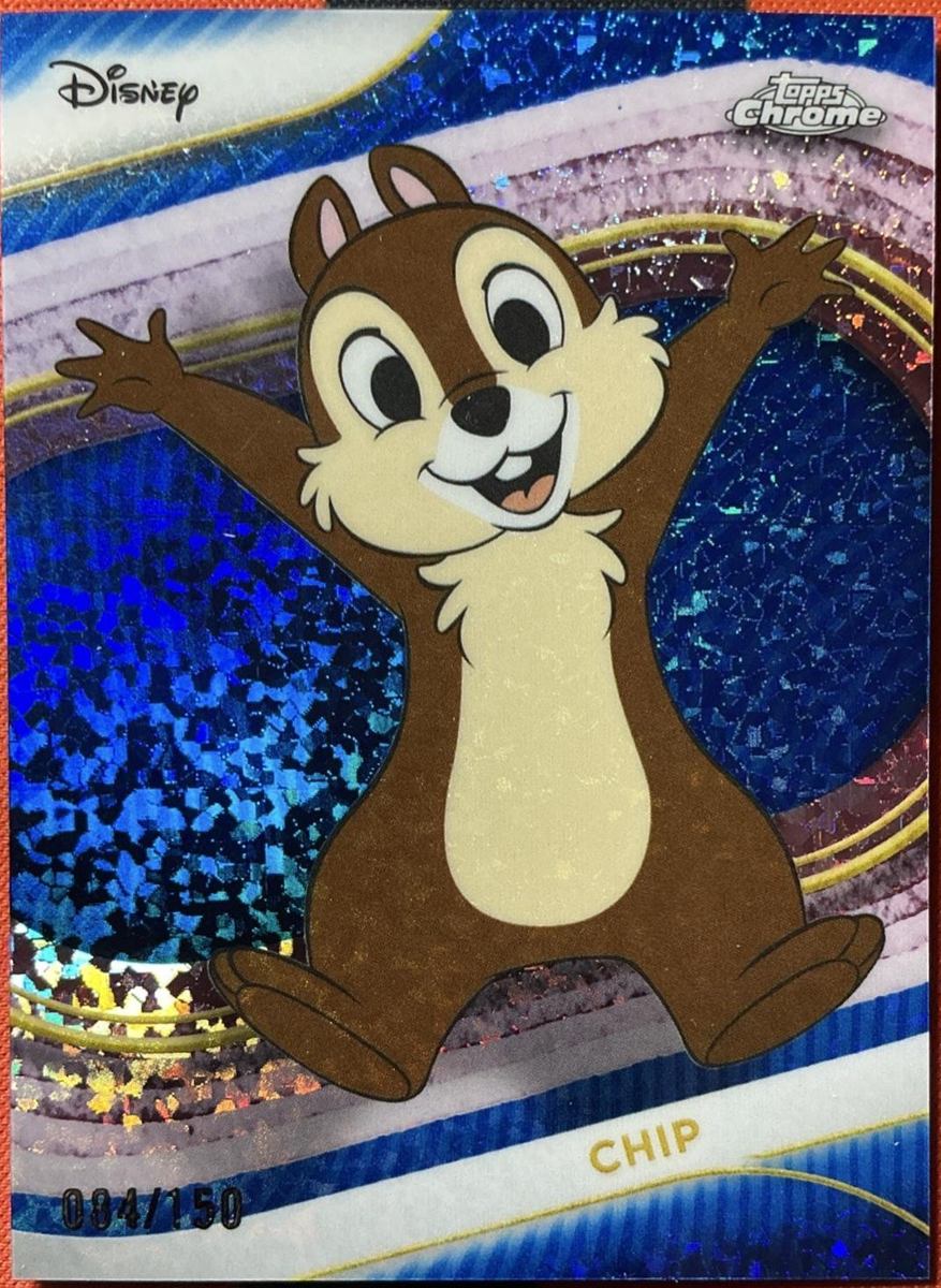 Chip